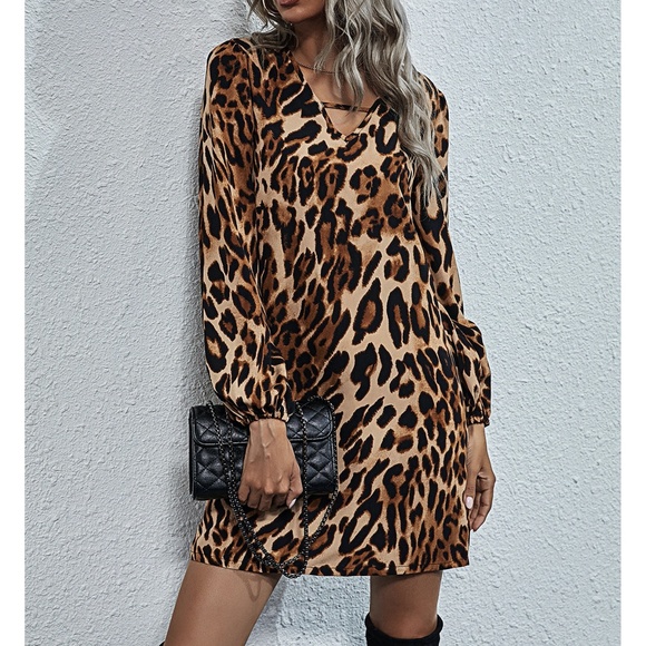 Leopard Print Long Sleeve Tunic Shift Dress - Picture 4 of 8